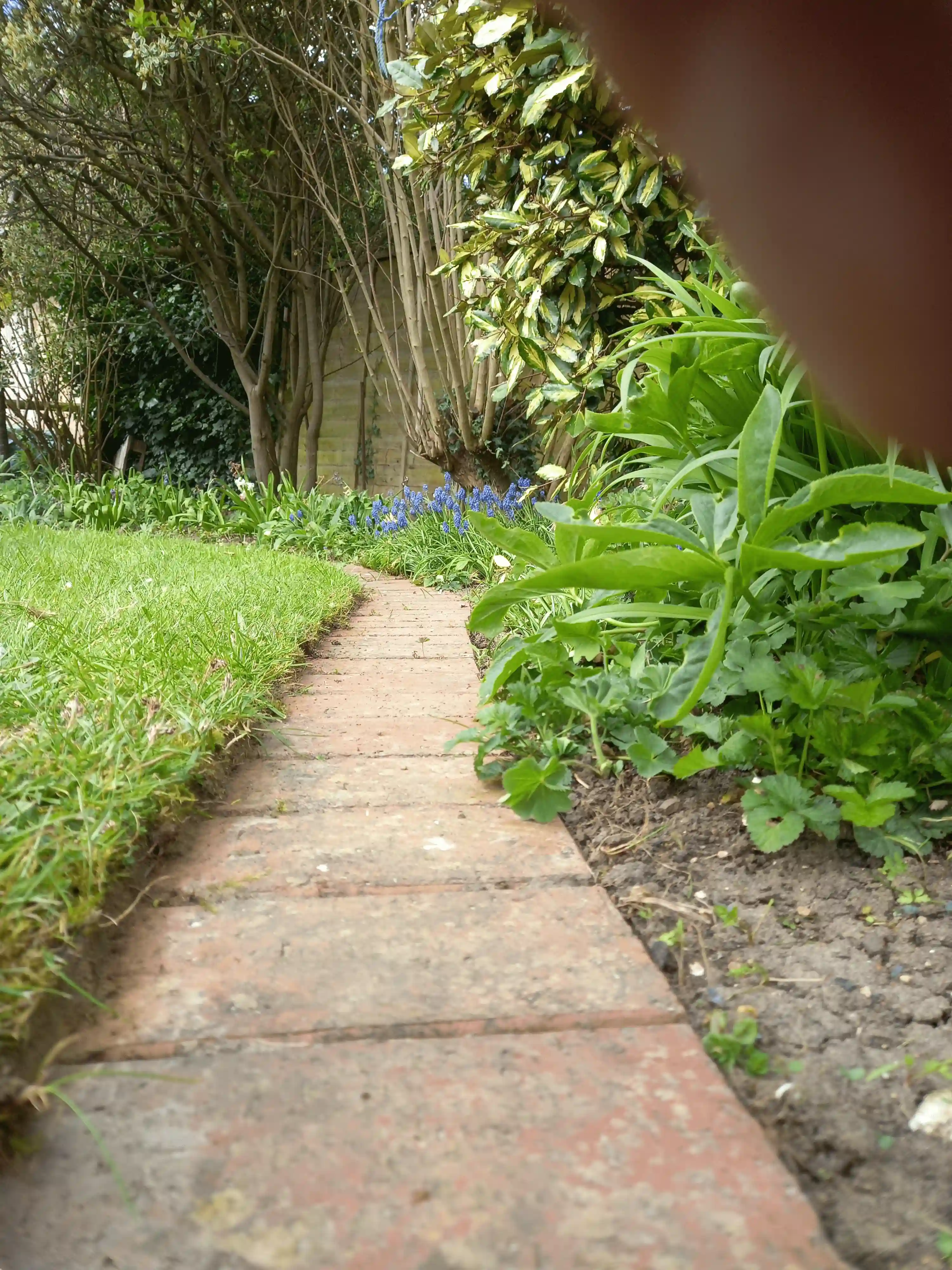 Edge care by BCA Gardening Service in Werrington