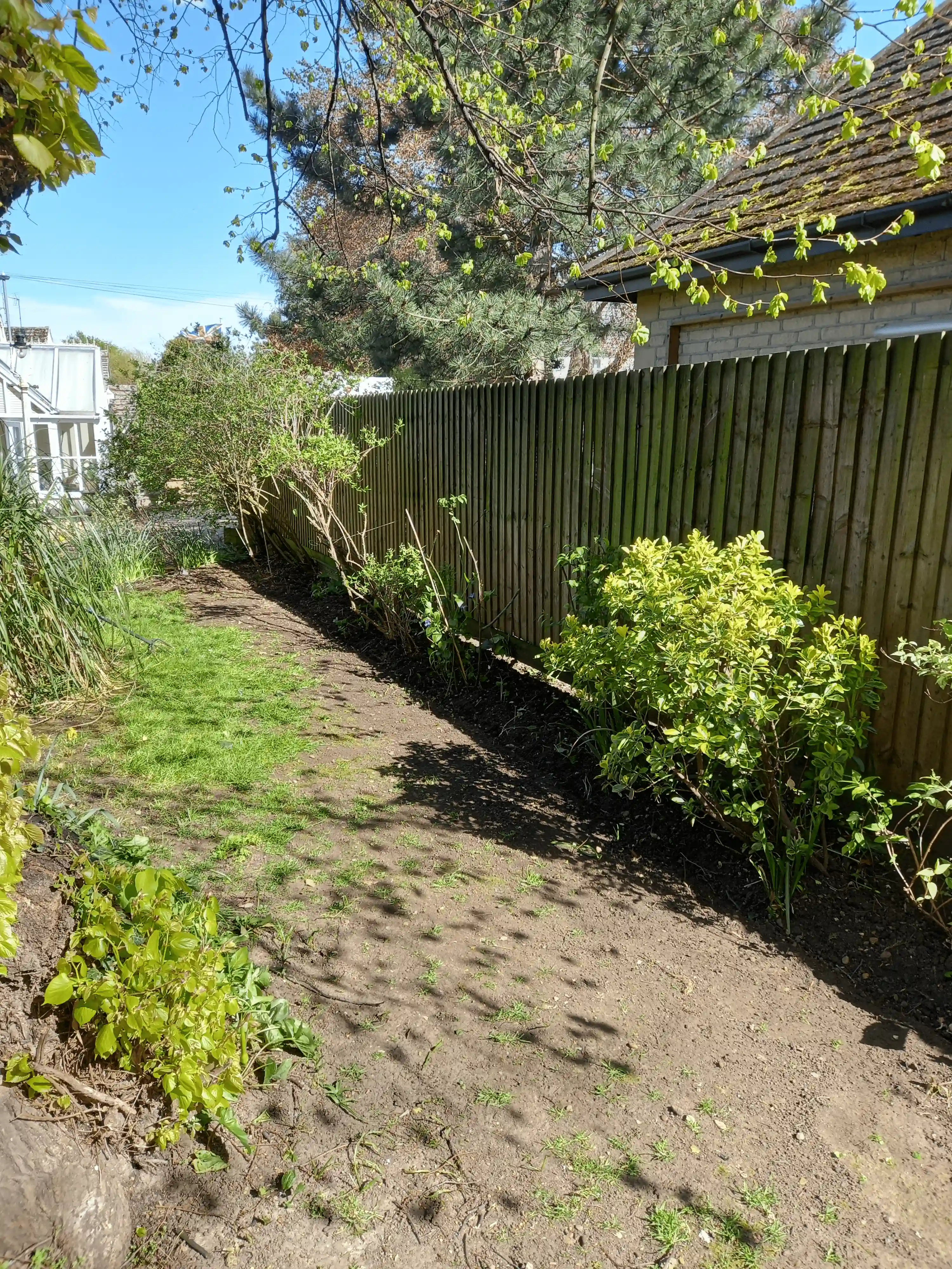Pruning by BCA Gardening Service in Werrington